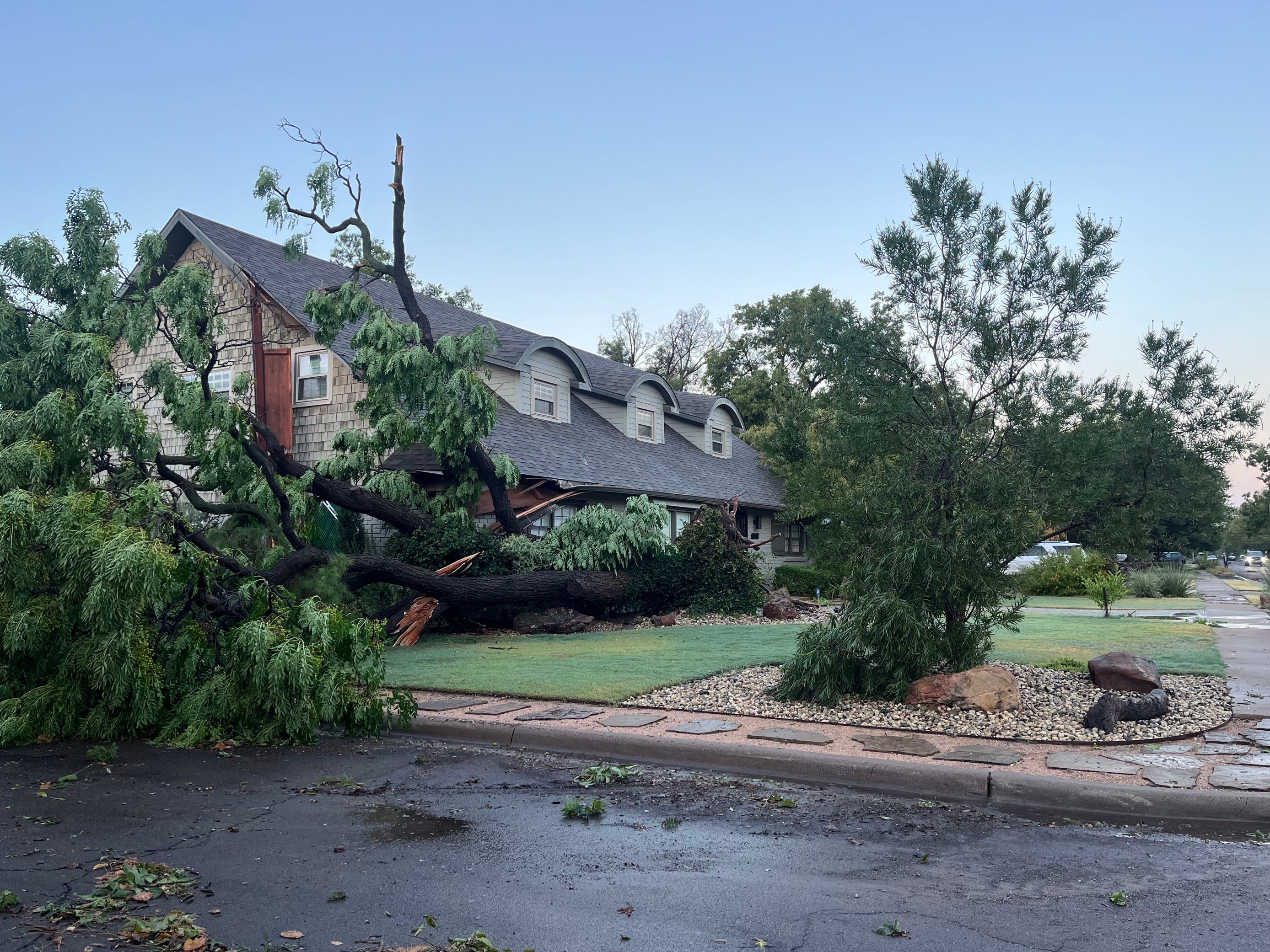 A large tree was downed by high winds early Friday, Sept. 15, near 22nd Street and Canton Avenue as a potent line of storms moved through Lubbock and the South Plains, bringing widespread damage and prompting power outages.
